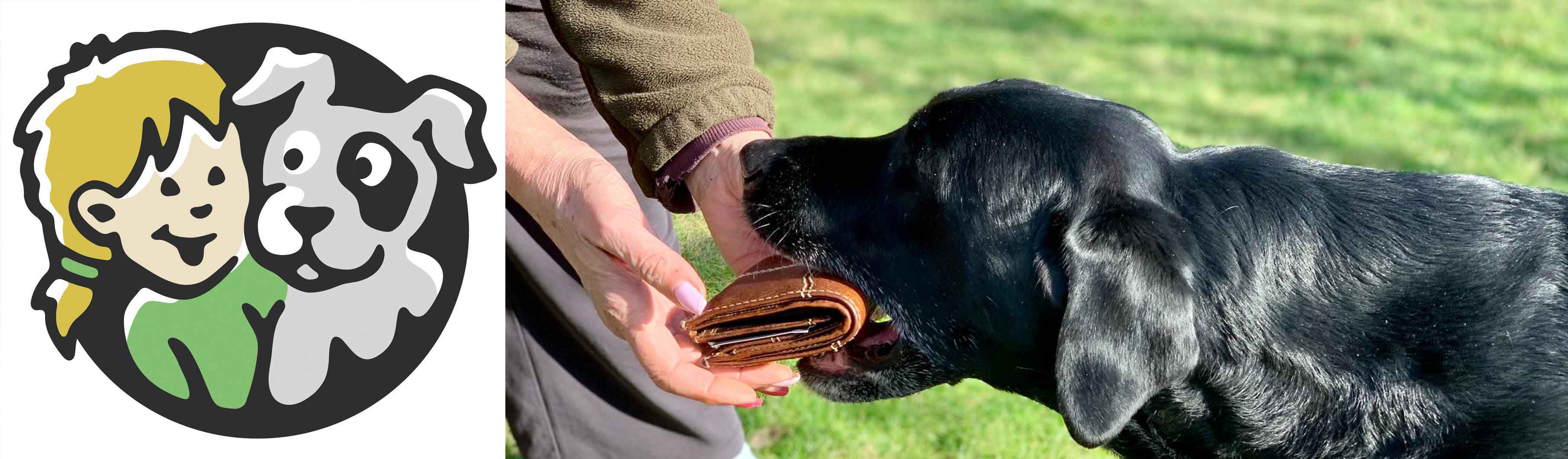 Hundetraining, Hundeschule, Problemhundetraining, Salzgitter, Braunschweig, Peine, Hildesheim, Goslar, Wolfenbüttel, Verhaltenstherapie für Hunde, Hundepsychologie, Welpenkurs, Junghundetraining, Mentrailing, Mentaltrailing, Leinenagression, Angsthund