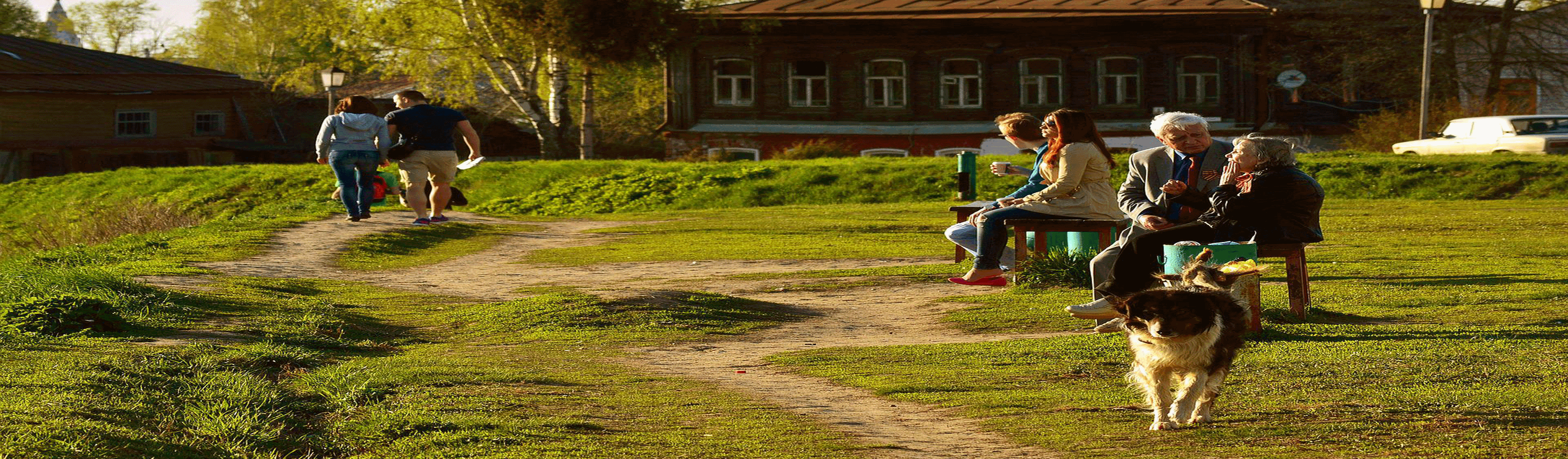 Hundetraining, Hundeschule, Problemhundetraining, Salzgitter, Braunschweig, Peine, Hildesheim, Goslar, Wolfenbüttel, Verhaltenstherapie für Hunde, Hundepsychologie, Welpenkurs, Junghundetraining, Mentrailing, Mentaltrailing, Leinenagression, Angsthund