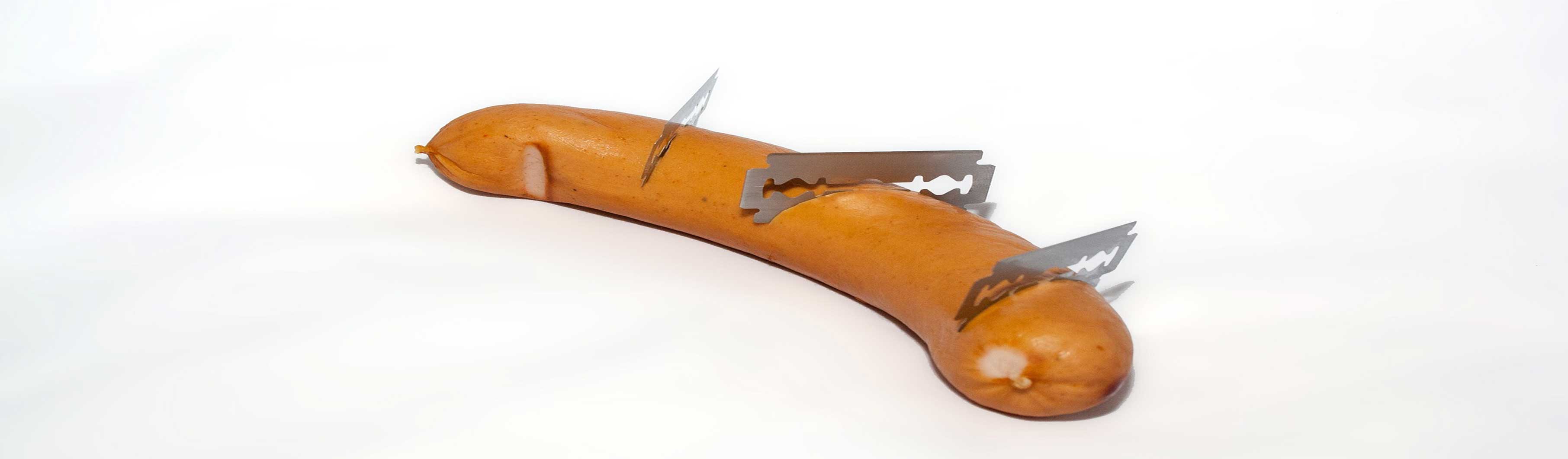 Hundetraining, Hundeschule, Problemhundetraining, Salzgitter, Braunschweig, Peine, Hildesheim, Goslar, Wolfenbüttel, Verhaltenstherapie für Hunde, Hundepsychologie, Welpenkurs, Junghundetraining, Mentrailing, Mentaltrailing, Leinenagression, Angsthund