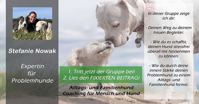 kostenlose Austausch Gruppe